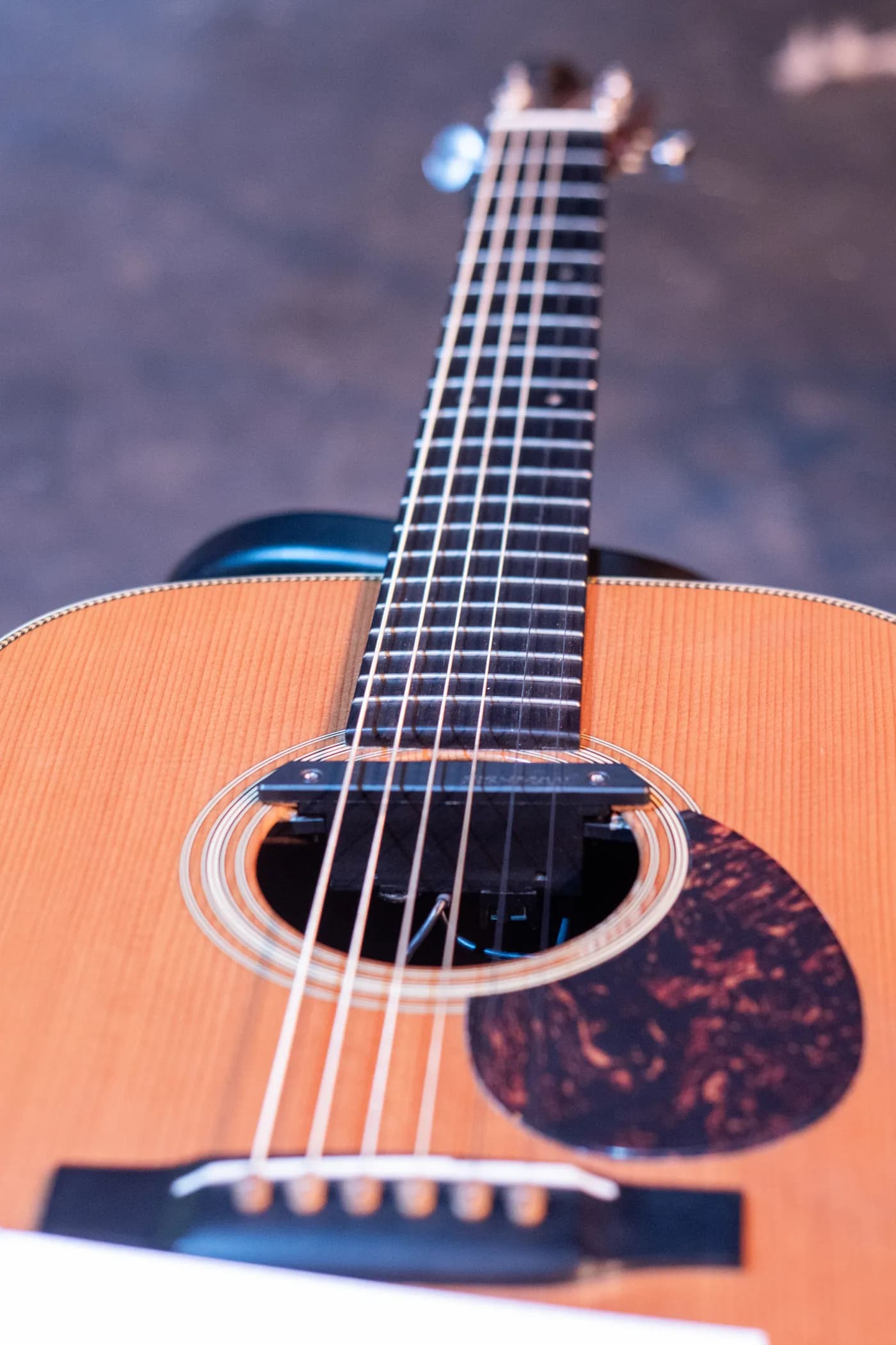 Rosace et cordes de la guitare acoustique de Bernard Bizien