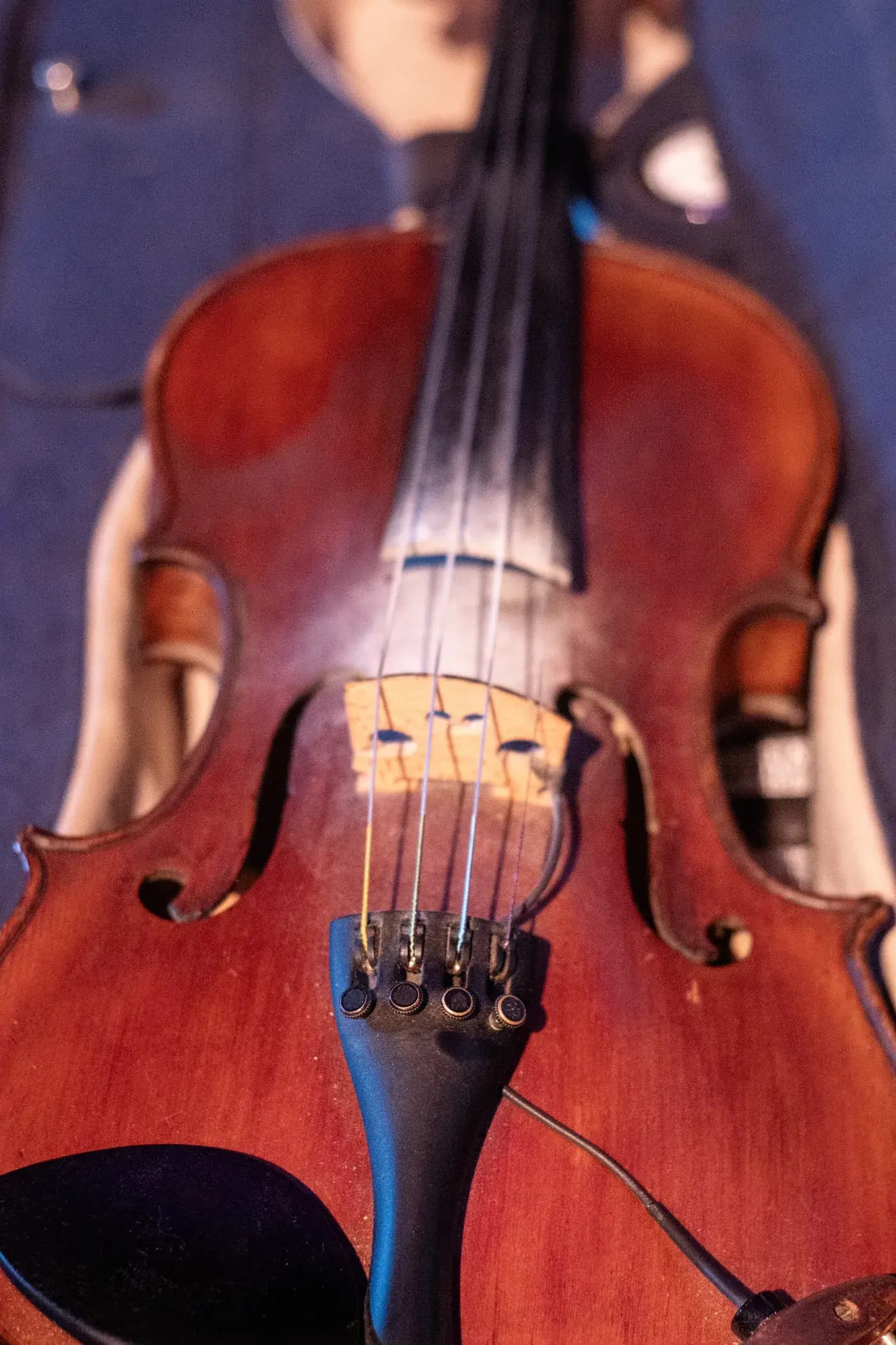Chevalet et cordes du violon de Dominique Trichet